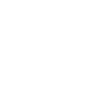ModestArmDiscGolf LLC